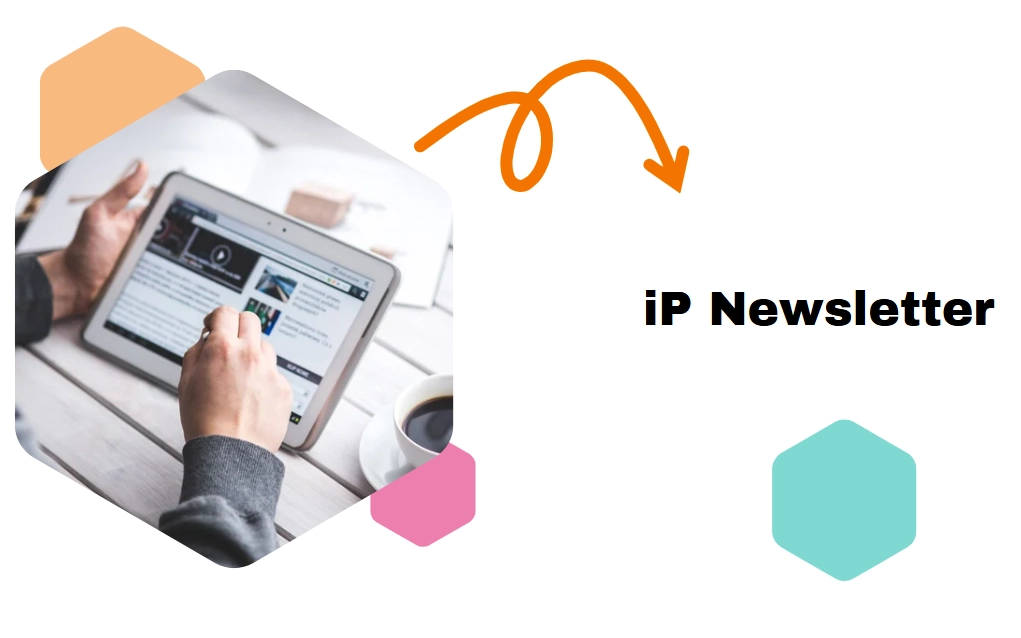 Thumbnail of IP Newsletter December 2024